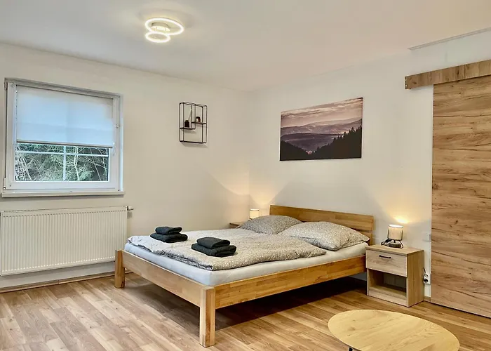 1041 By Mountain Ways Lägenhet Jáchymov